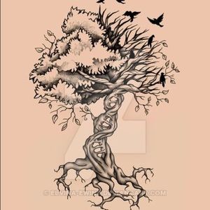 Meet your Posher, Hambone